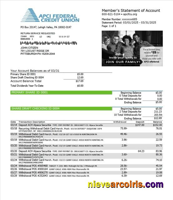 USA APCI Federal Credit Union statement of account Word and PDF
